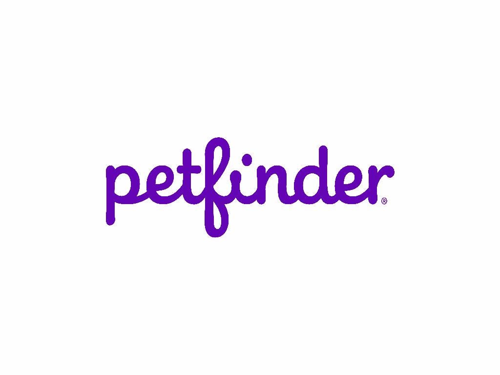 Google petfinder sales